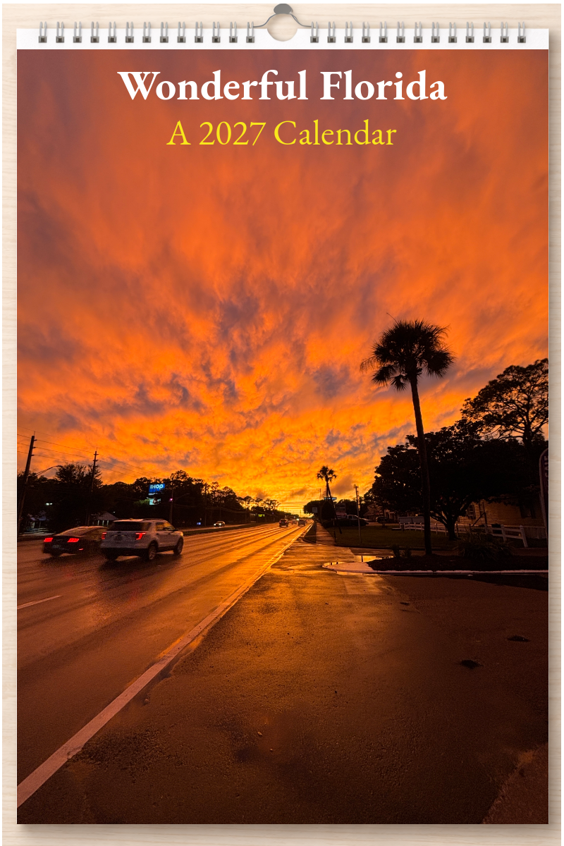 Wonderful Florida: A 2027 Calendar