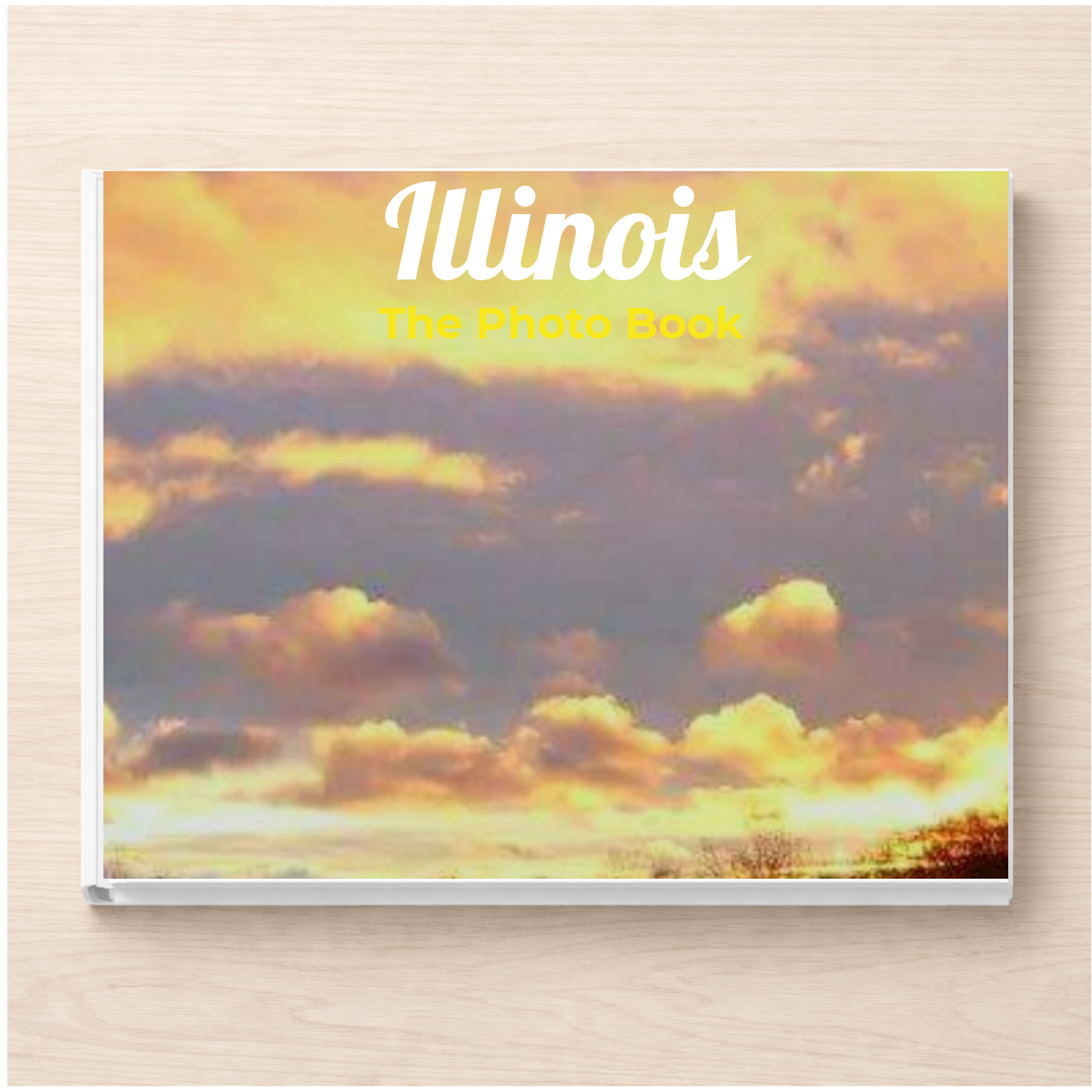 Illinois: The Photo Book