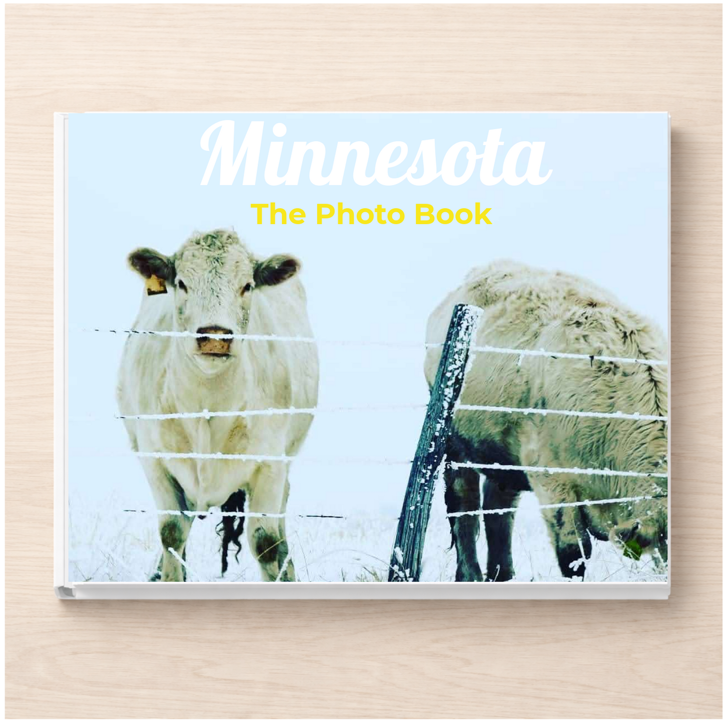 Minnesota: The Photo Book