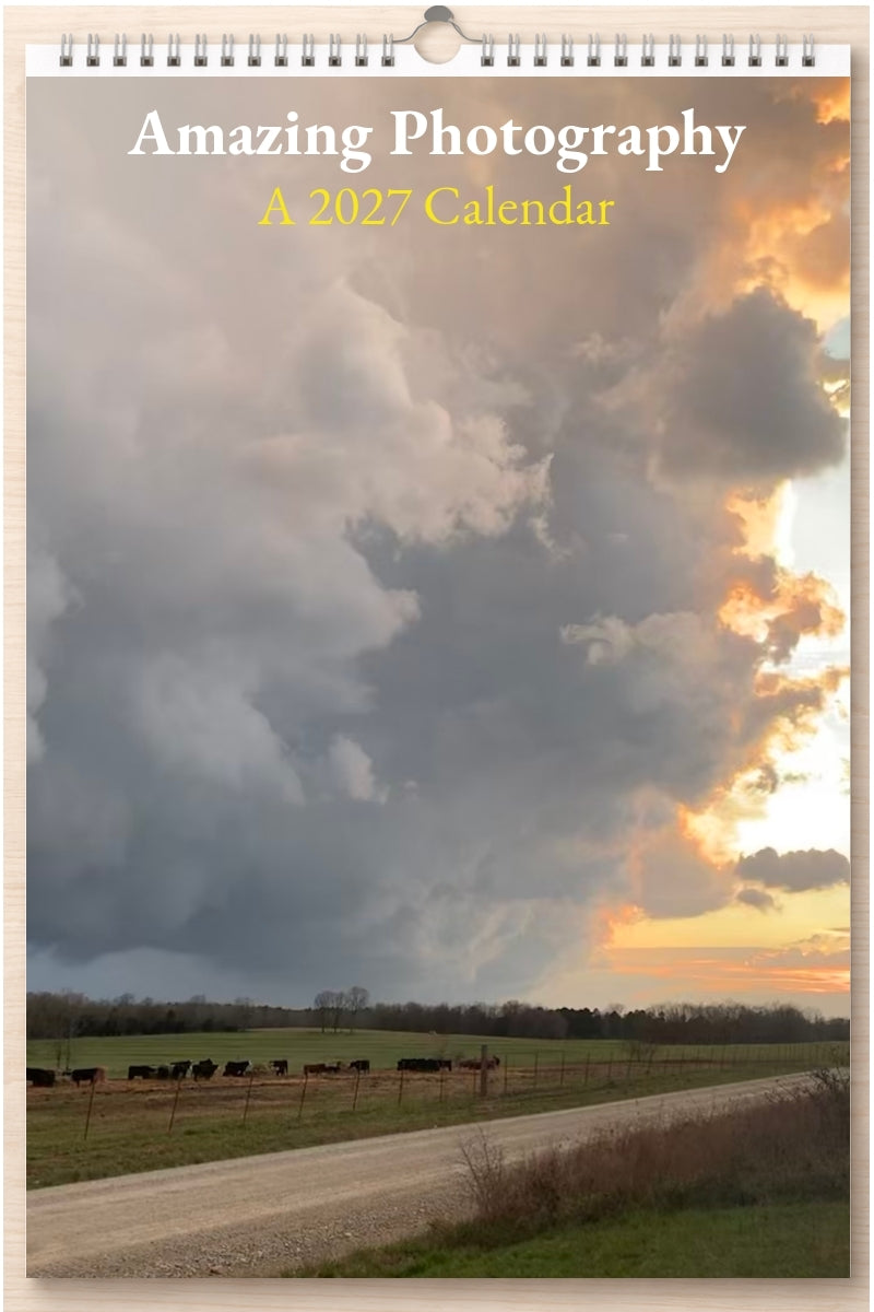 Amazing Photography: A 2027 Calendar