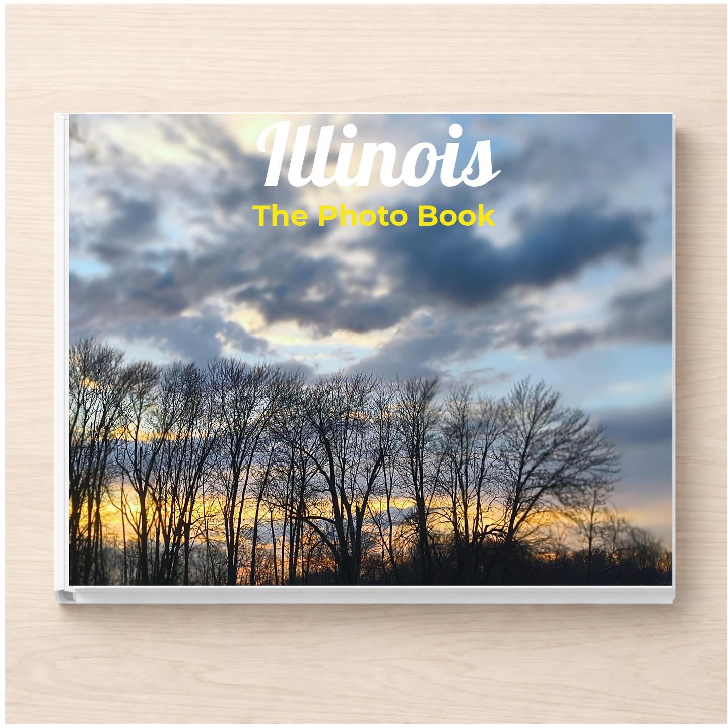 Illinois: The Photo Book