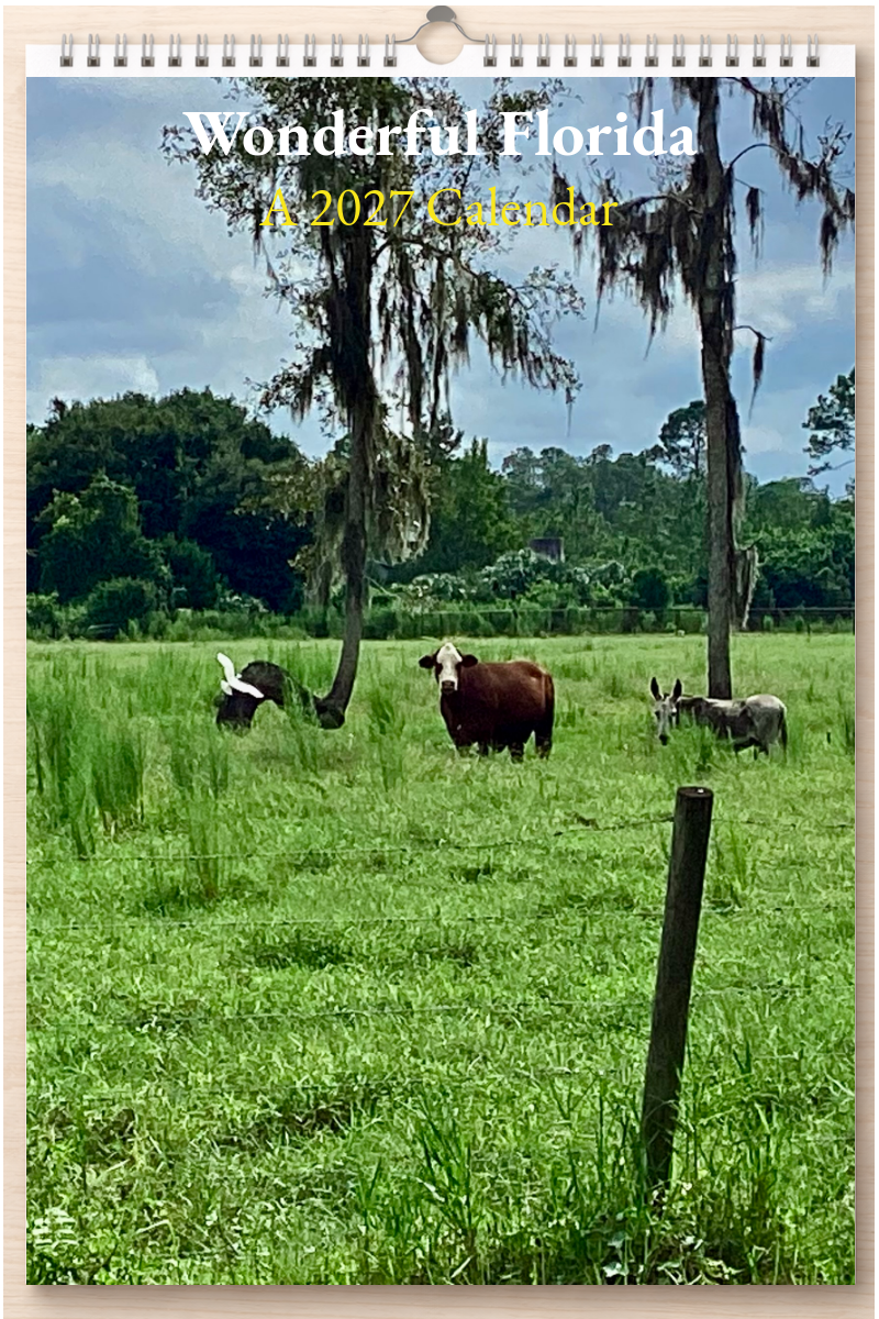 Wonderful Florida: A 2027 Calendar