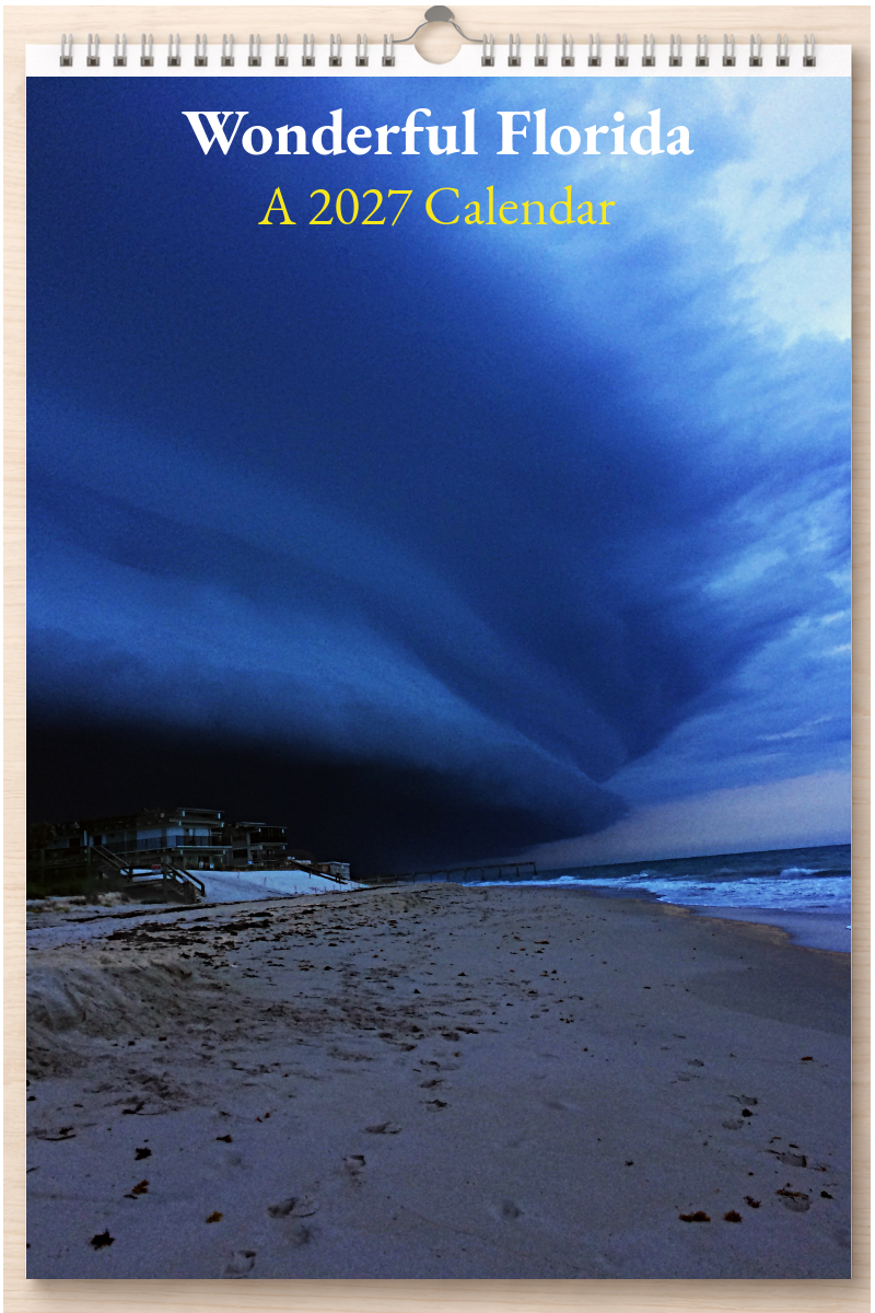 Wonderful Florida: A 2027 Calendar