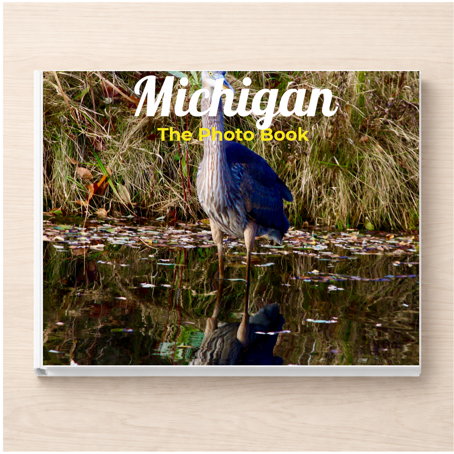 Michigan: The Photo Book