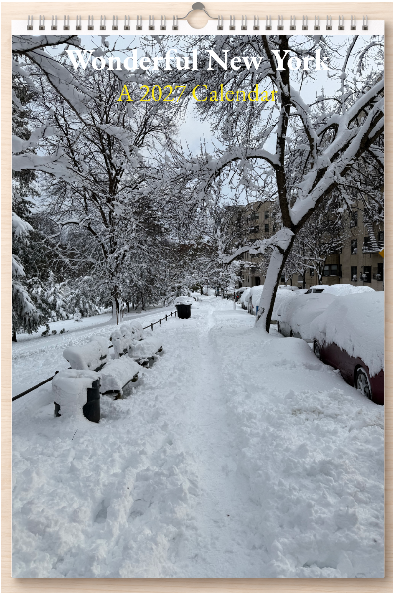 Wonderful New York: A 2027 Calendar