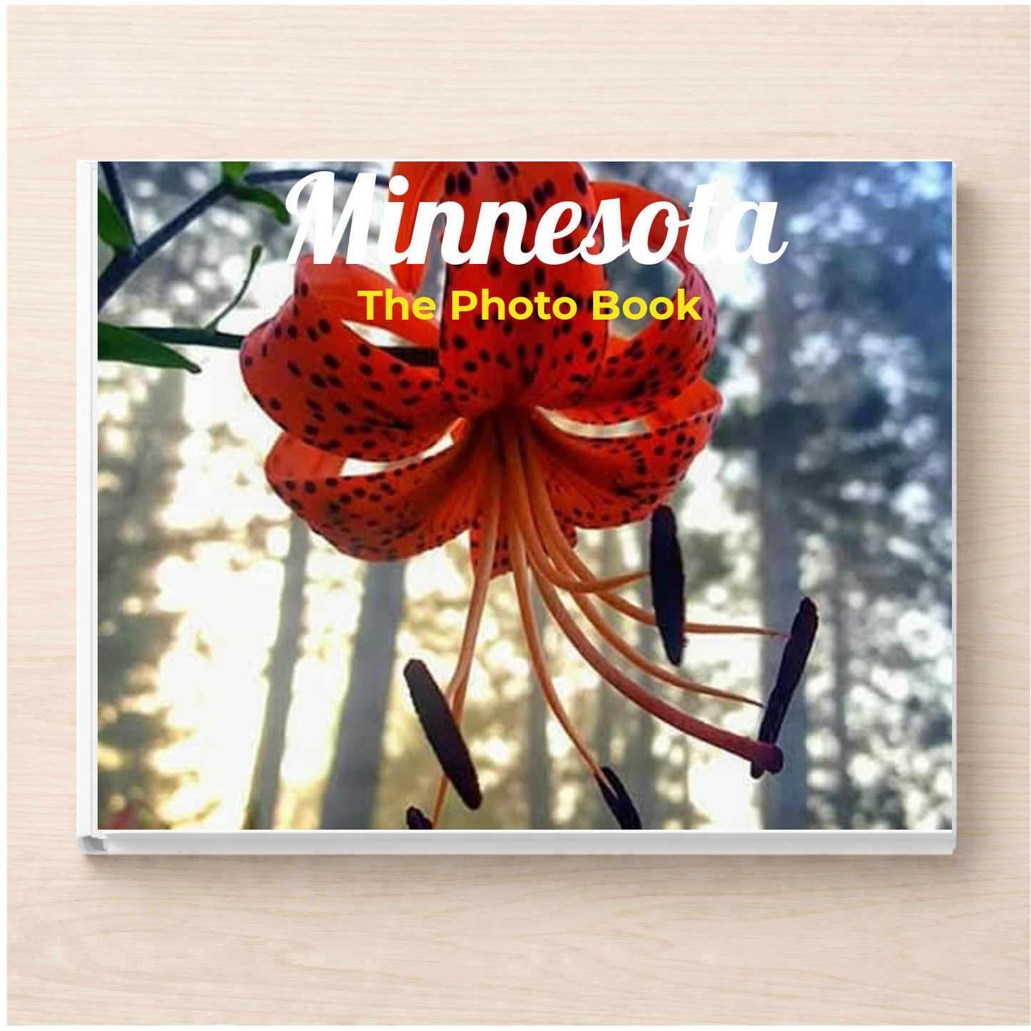 Minnesota: The Photo Book