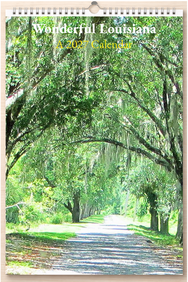 Wonderful Louisiana: A 2027 Calendar