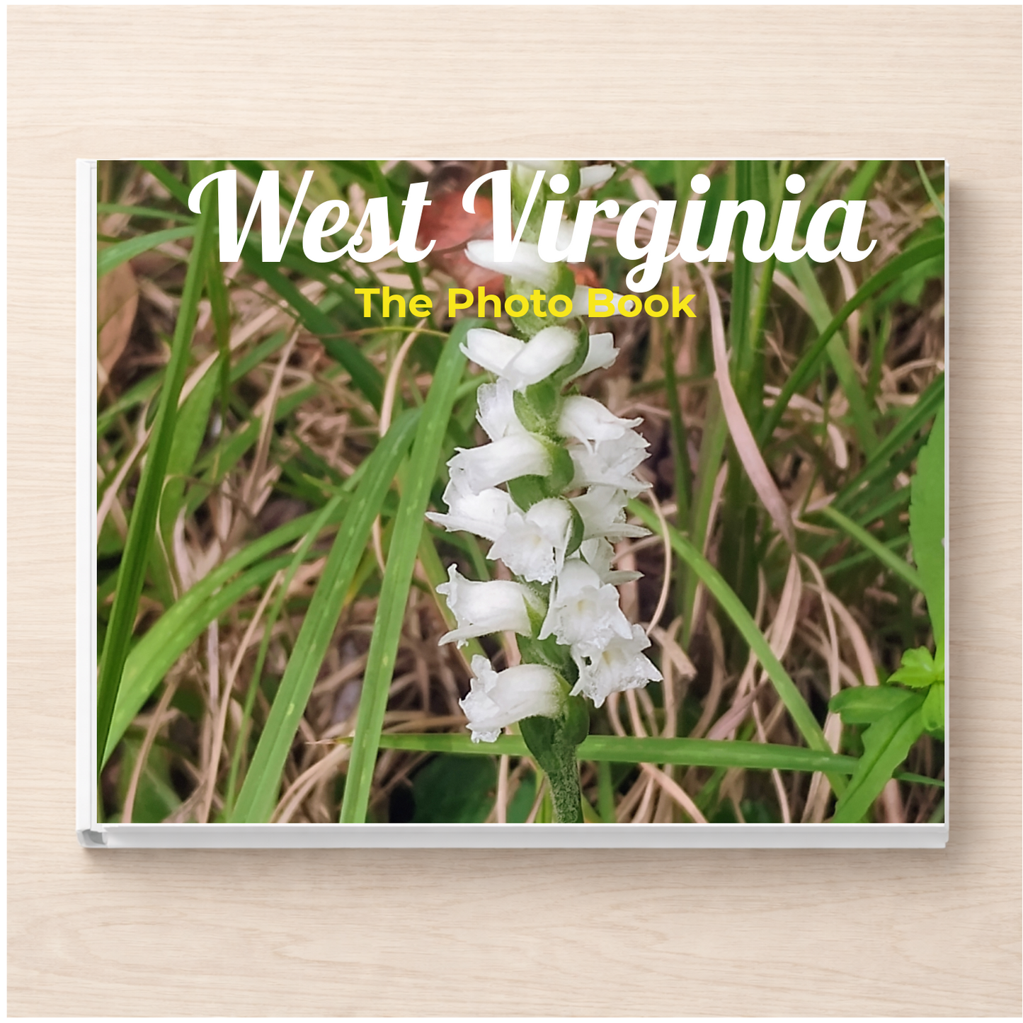 West Virginia: The Photo Book