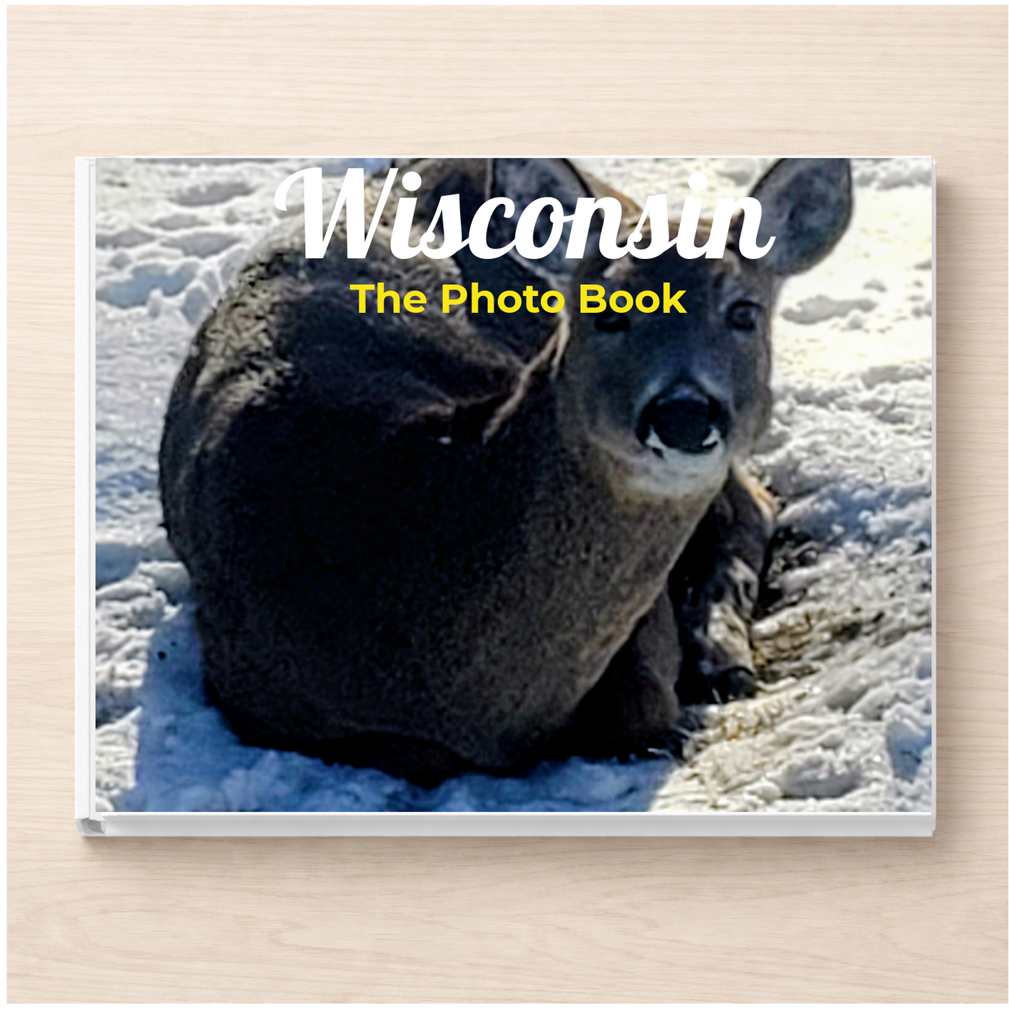 Wisconsin: The Photo Book