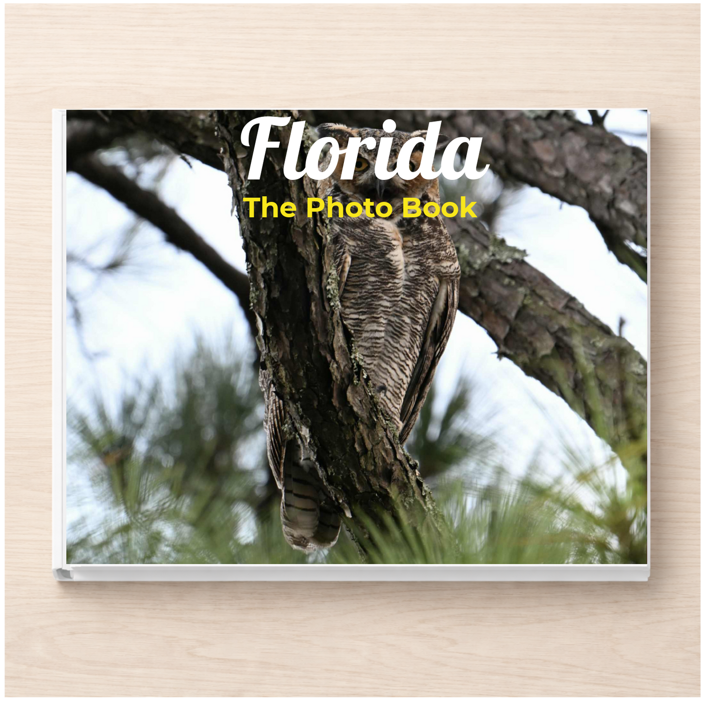 Florida: The Photo Book