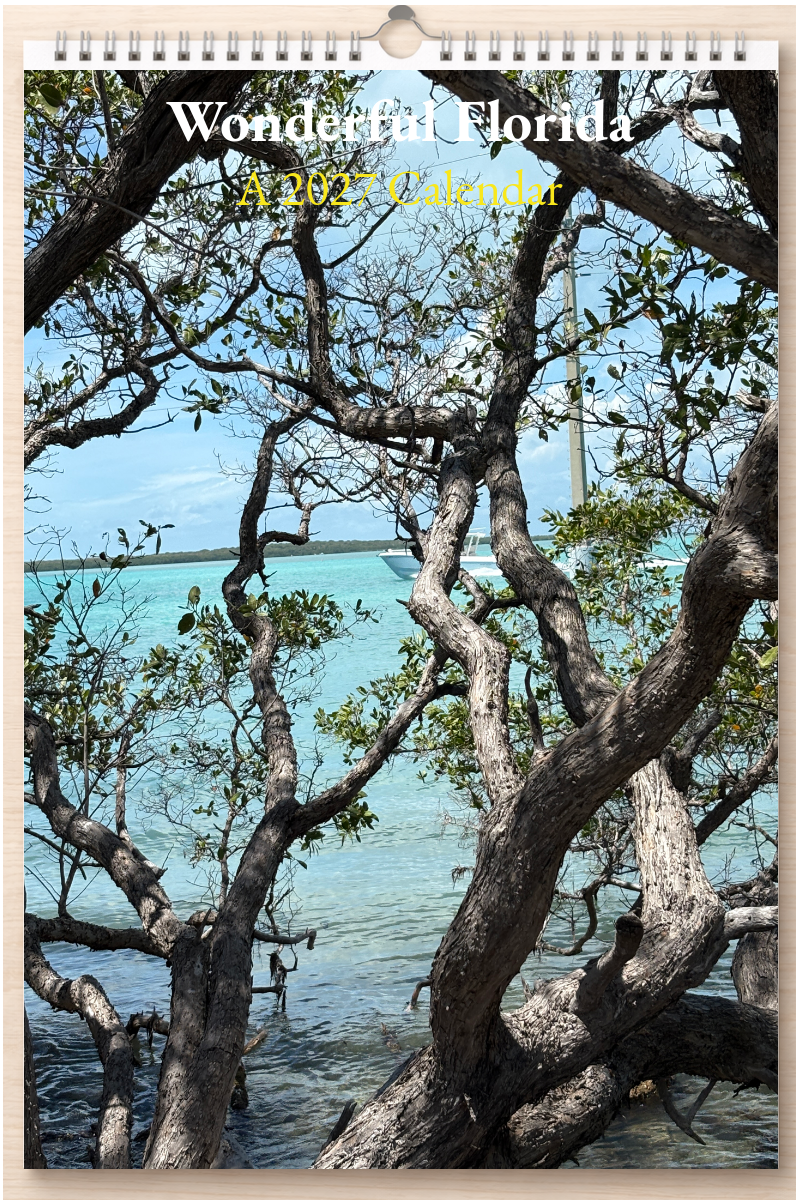 Wonderful Florida: A 2027 Calendar