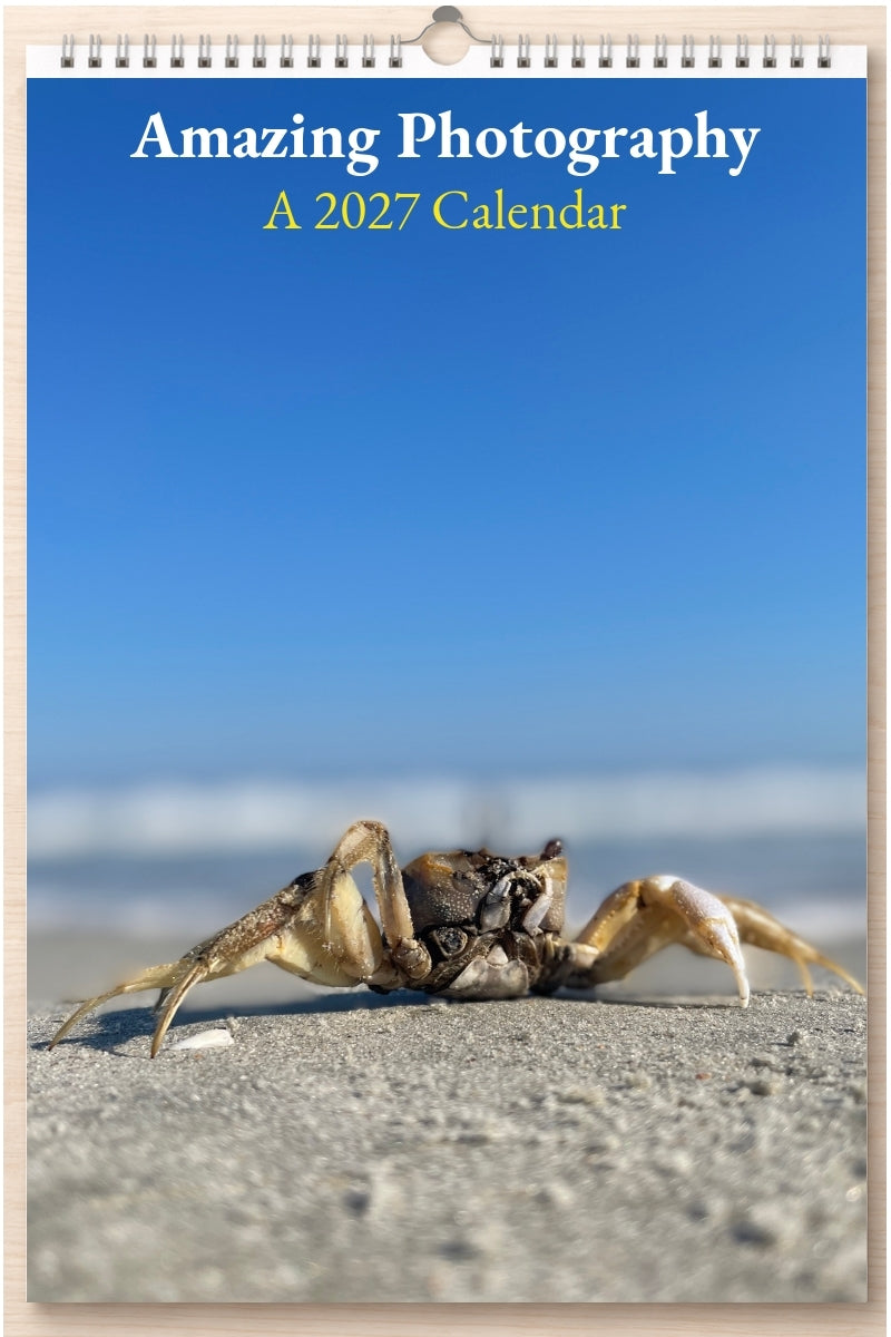 Amazing Photography: A 2027 Calendar