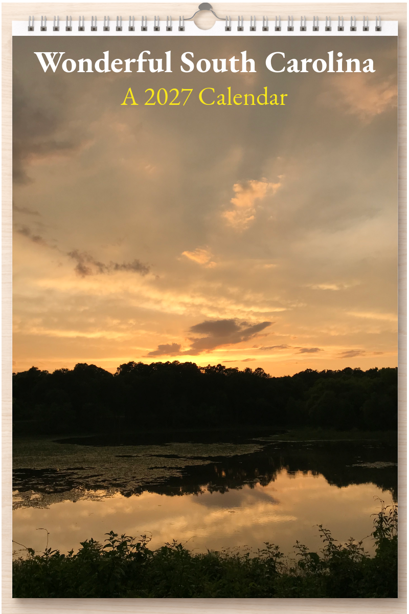 Wonderful South Carolina: A 2027 Calendar