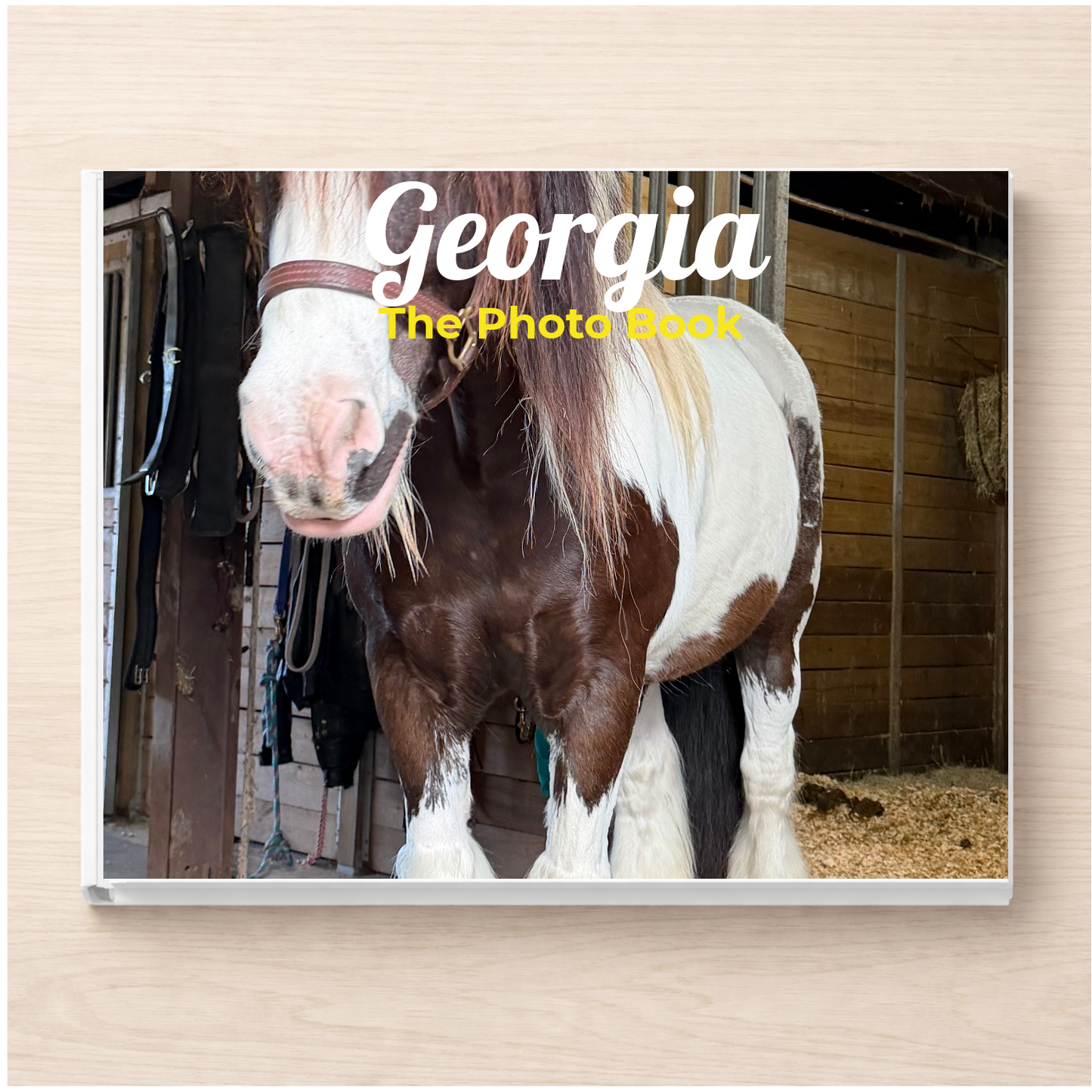 Georgia: The Photo Book