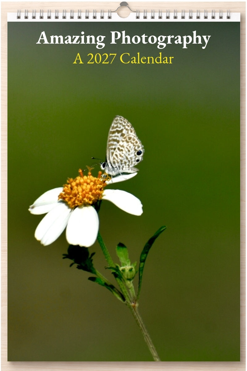 Amazing Photography: A 2027 Calendar
