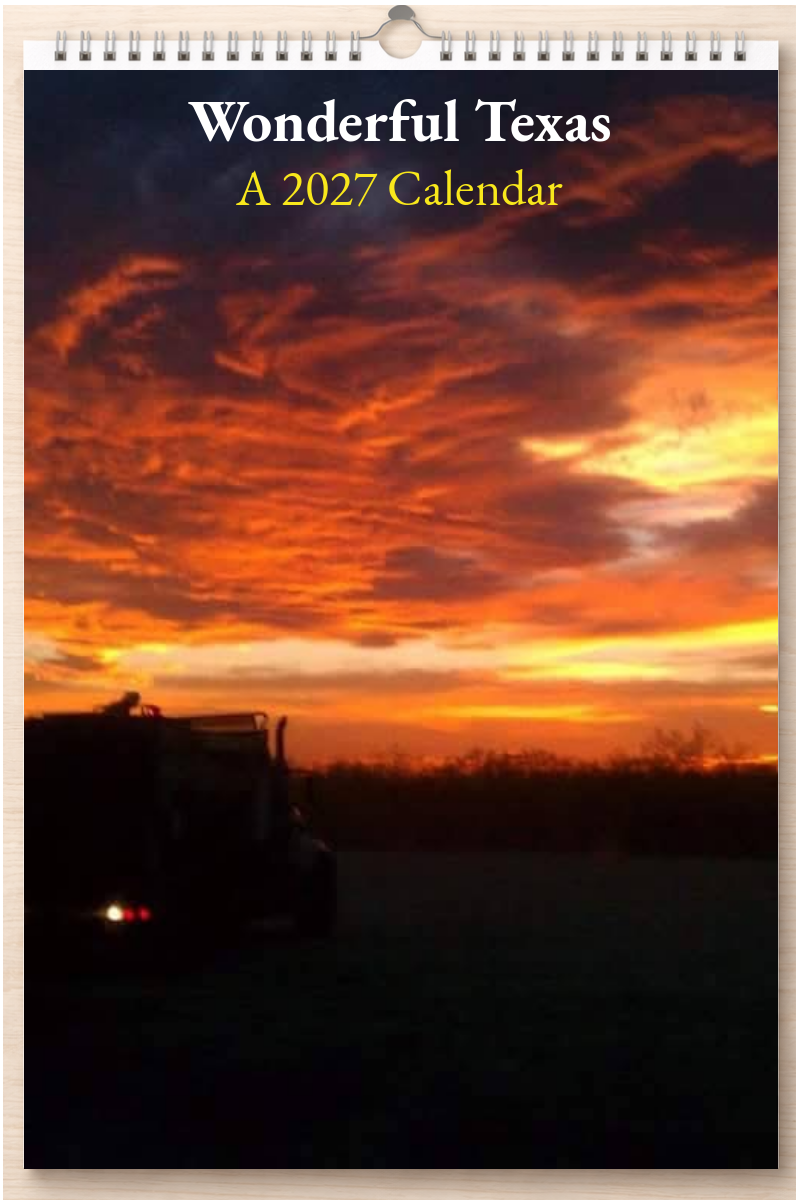 Wonderful Texas: A 2027 Calendar