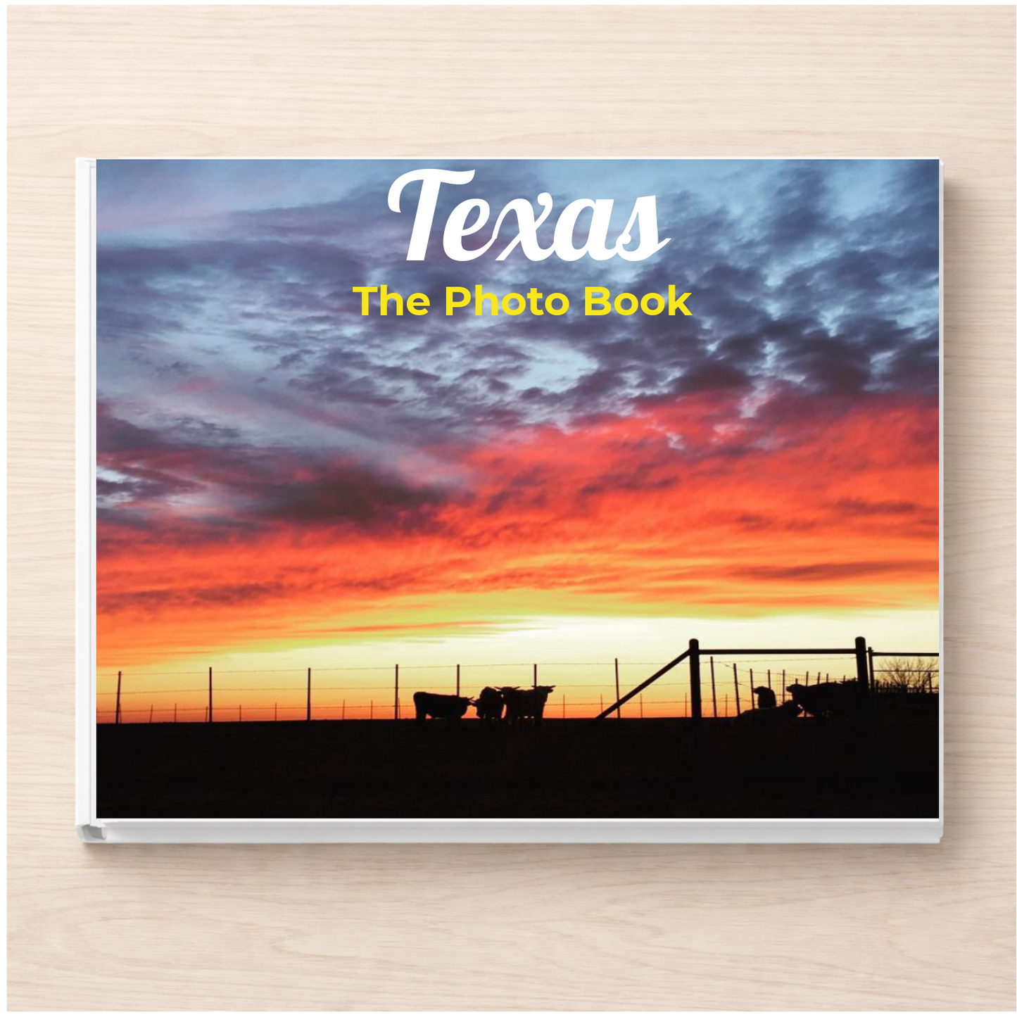 Texas: The Photo Book