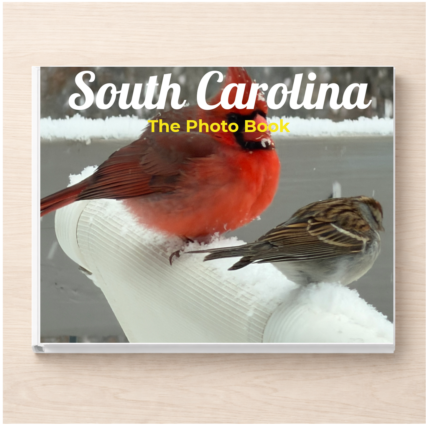 South Carolina: The Photo Book