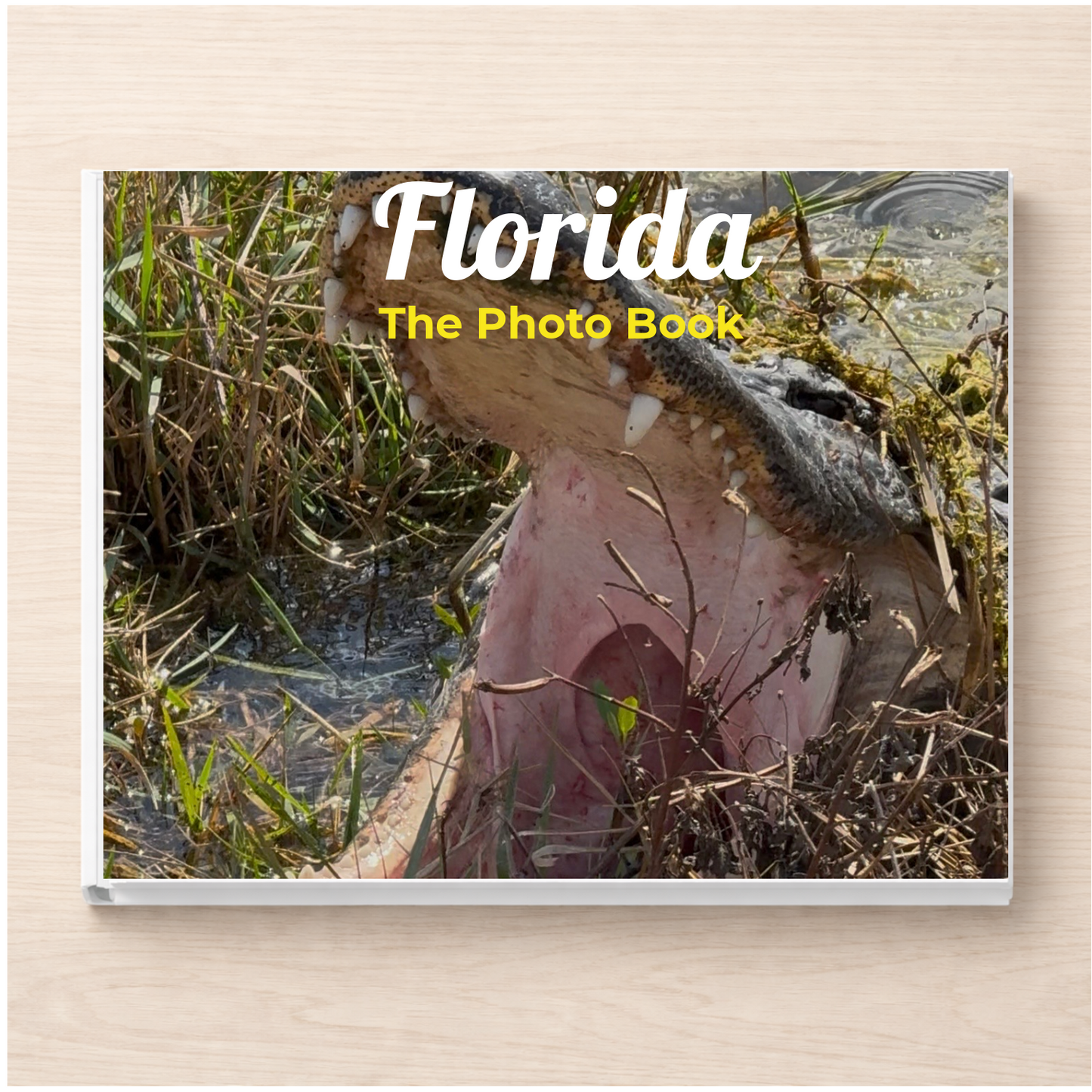 Florida: The Photo Book