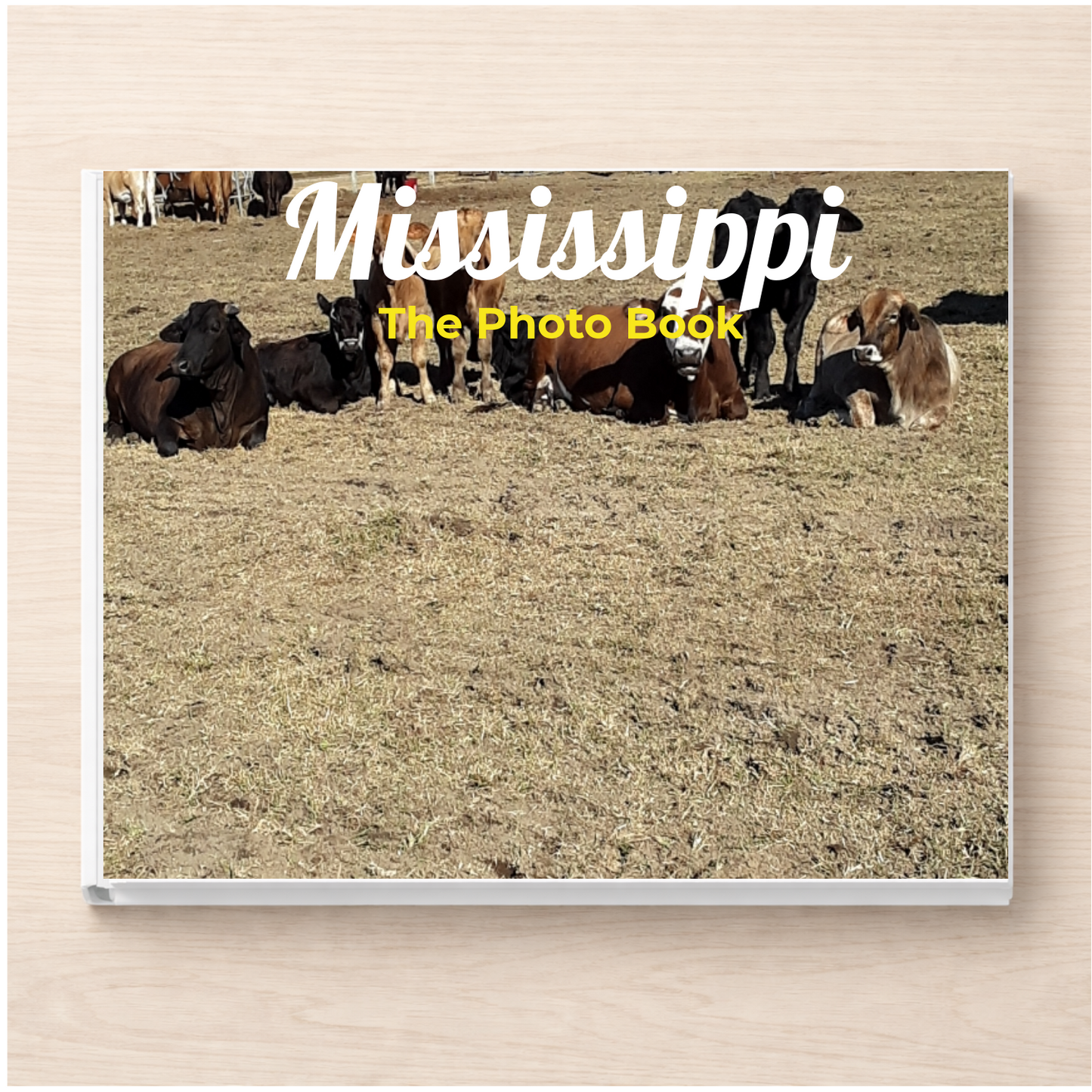 Mississippi: The Photo Book