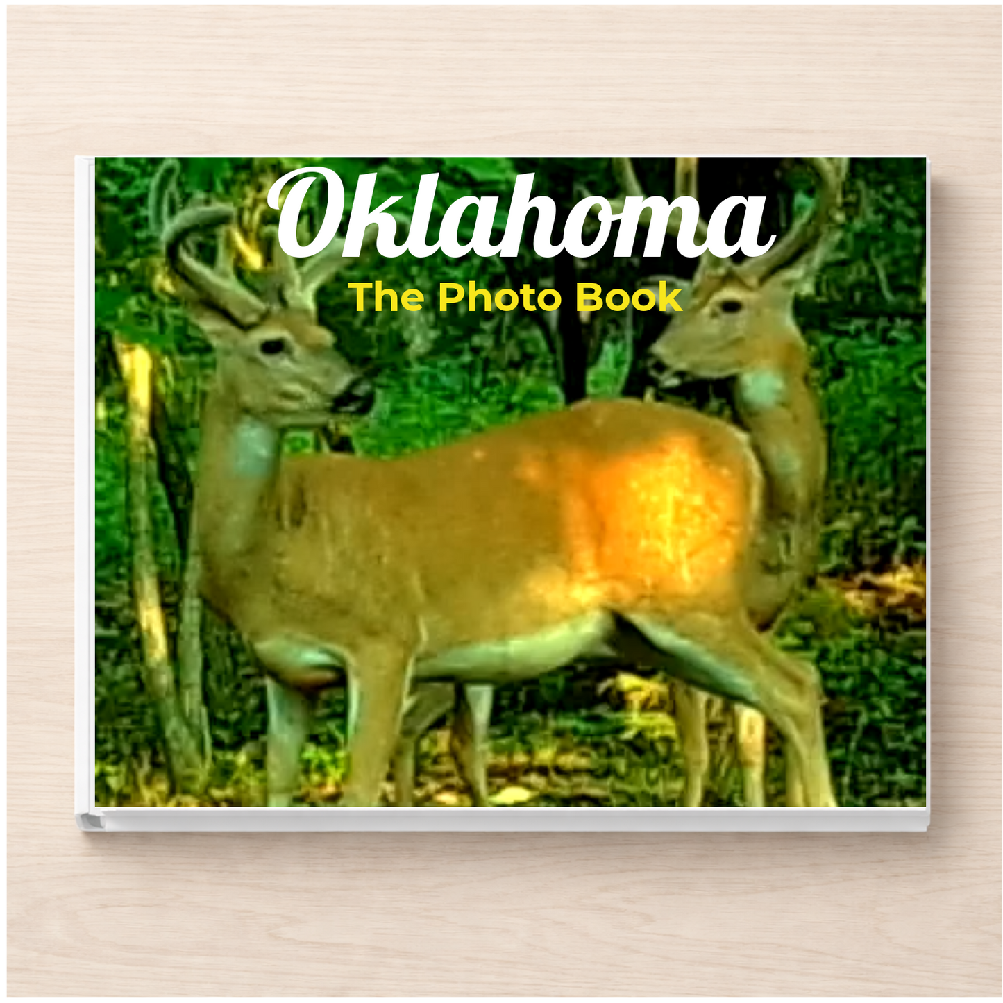 Oklahoma: The Photo Book