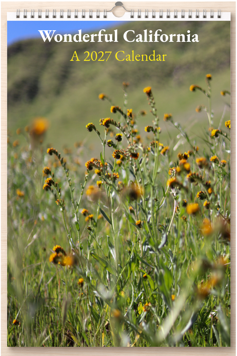 Wonderful California: A 2027 Calendar