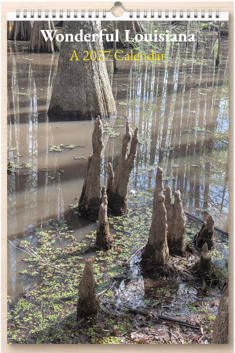 Wonderful Louisiana: A 2027 Calendar