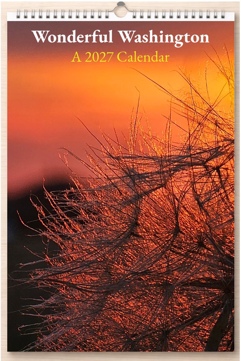 Wonderful Washington: A 2027 Calendar