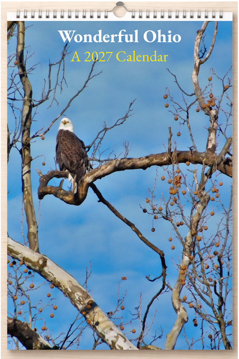 Wonderful Ohio: A 2027 Calendar