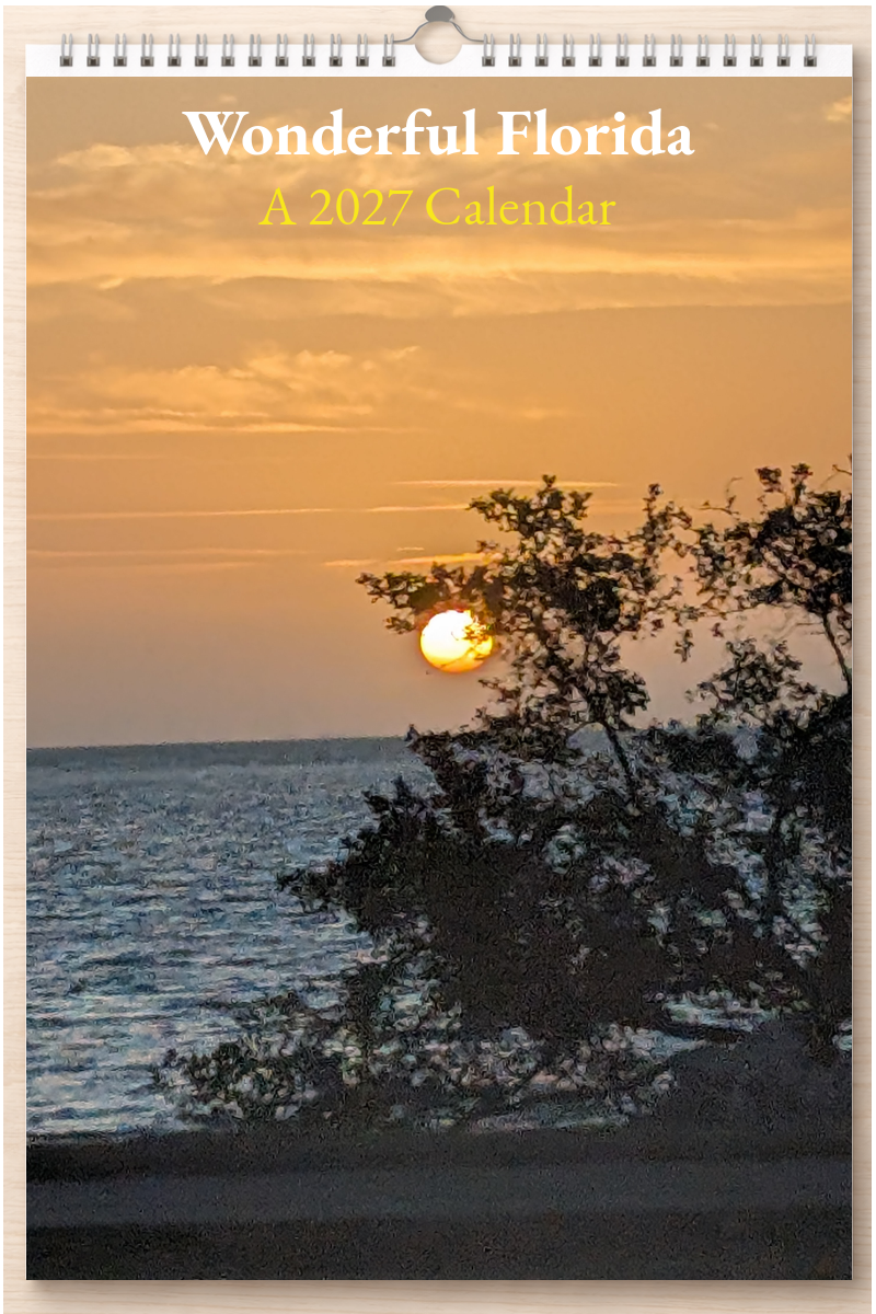 Wonderful Florida: A 2027 Calendar