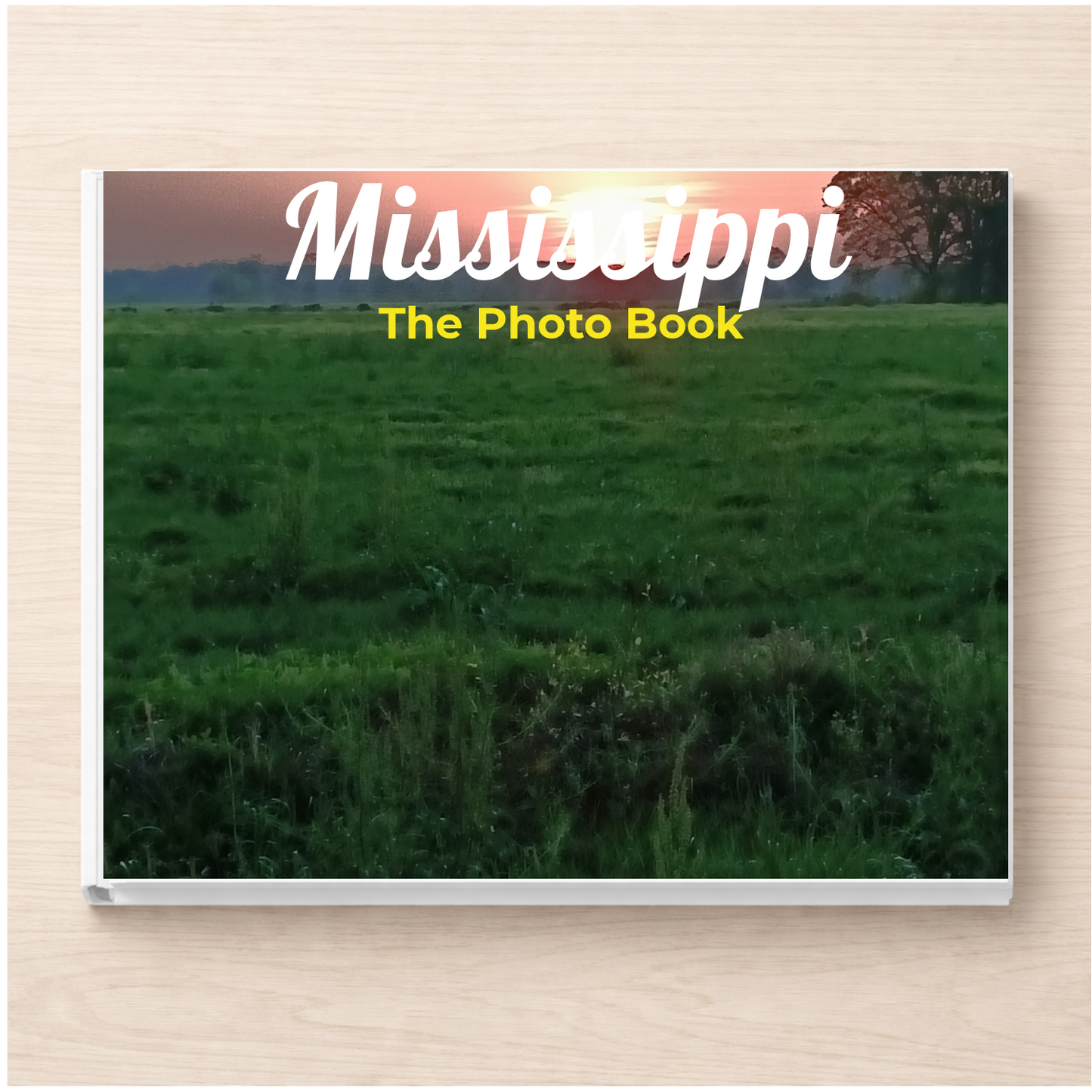 Mississippi: The Photo Book
