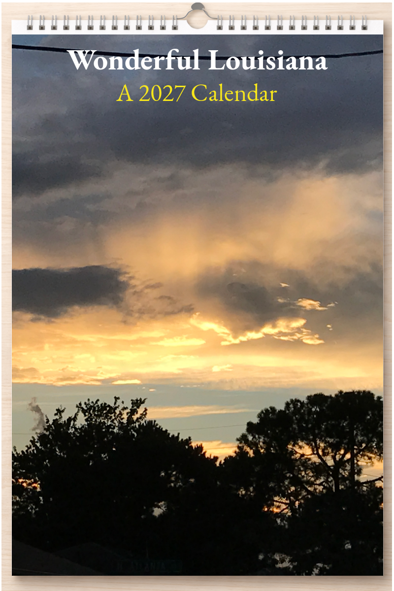 Wonderful Louisiana: A 2027 Calendar