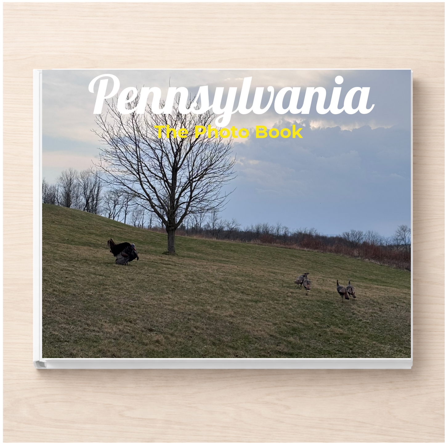 Pennsylvania: The Photo Book