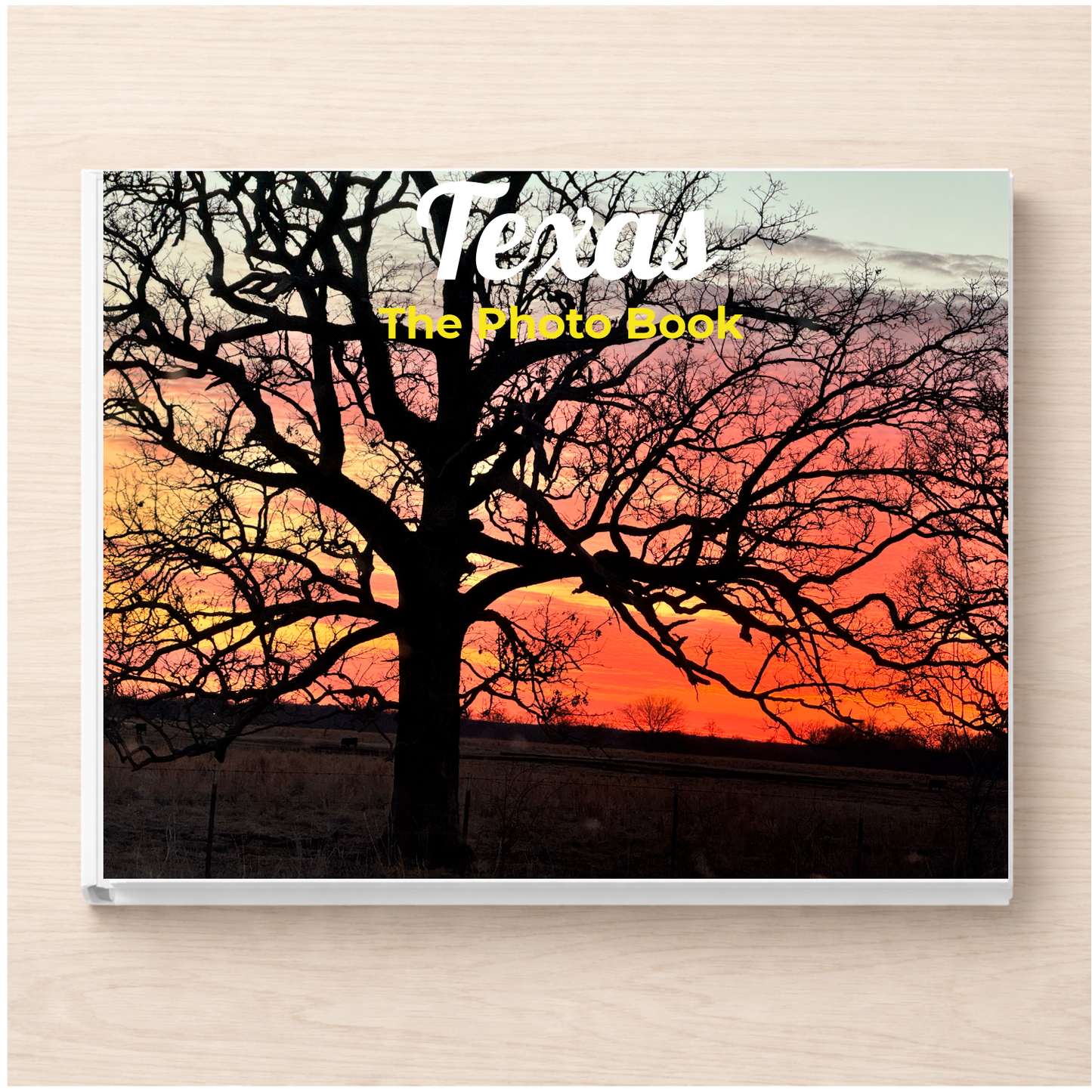 Texas: The Photo Book