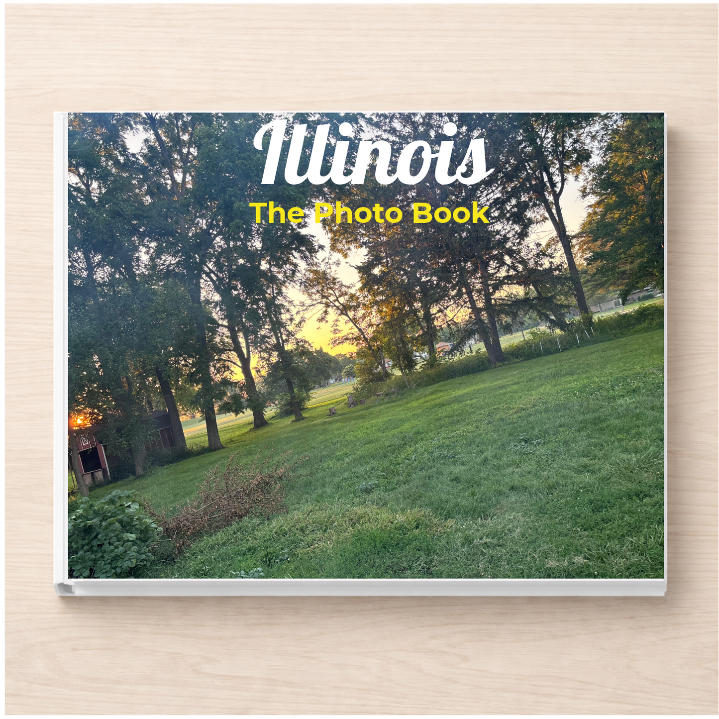 Illinois: The Photo Book
