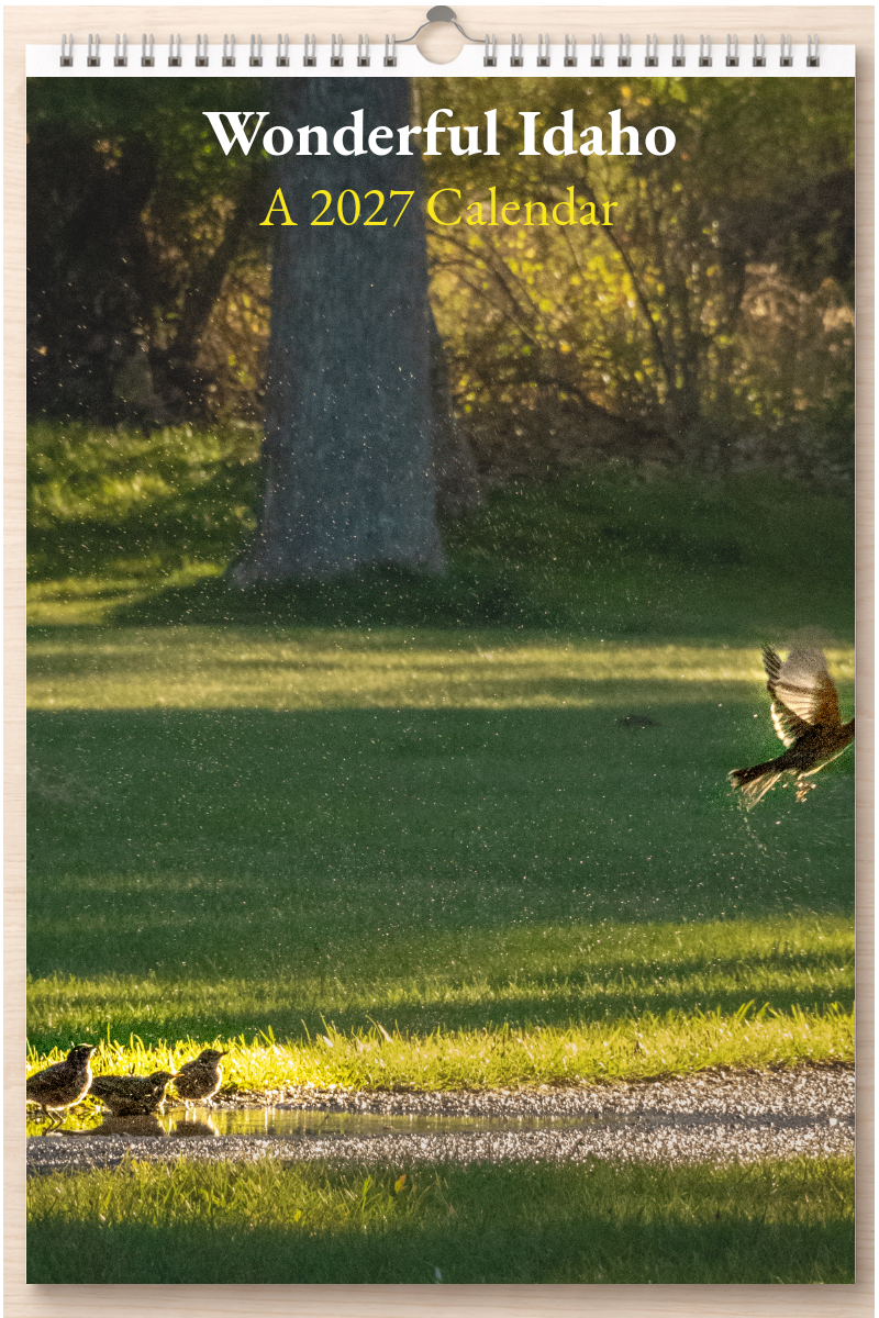 Wonderful Idaho: A 2027 Calendar