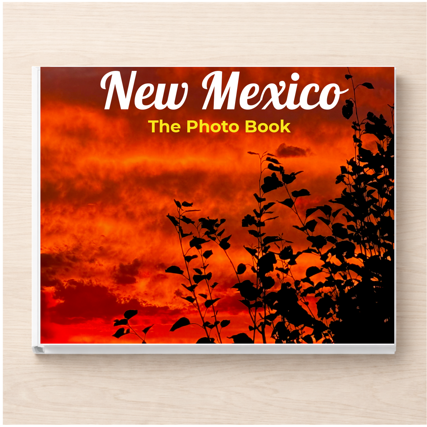 New Mexico: The Photo Book