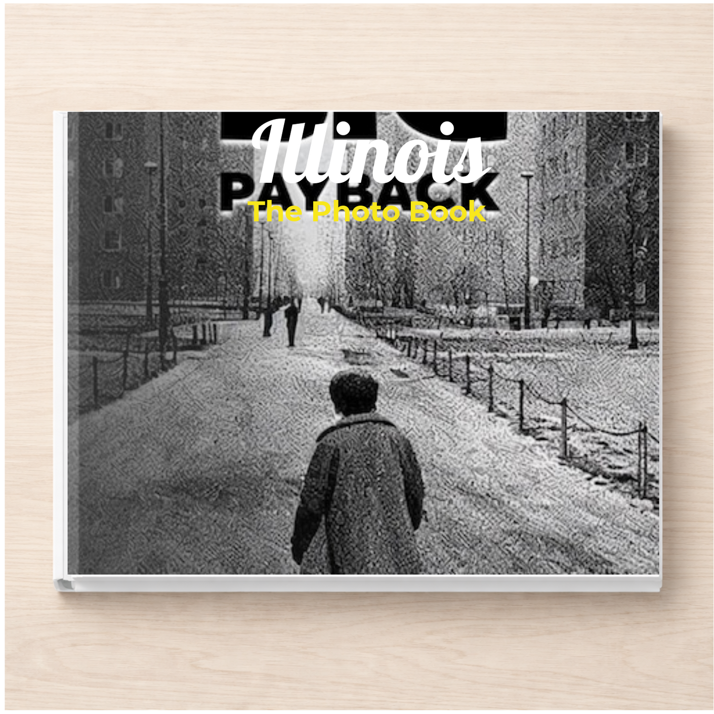 Illinois: The Photo Book