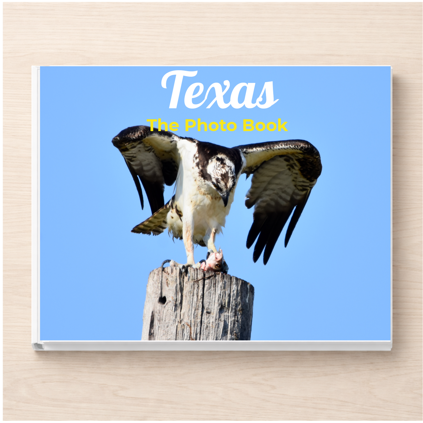 Texas: The Photo Book