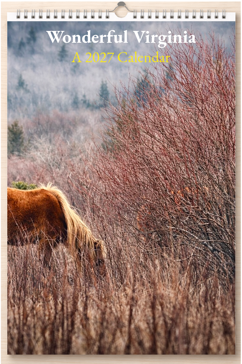 Wonderful Virginia: A 2027 Calendar