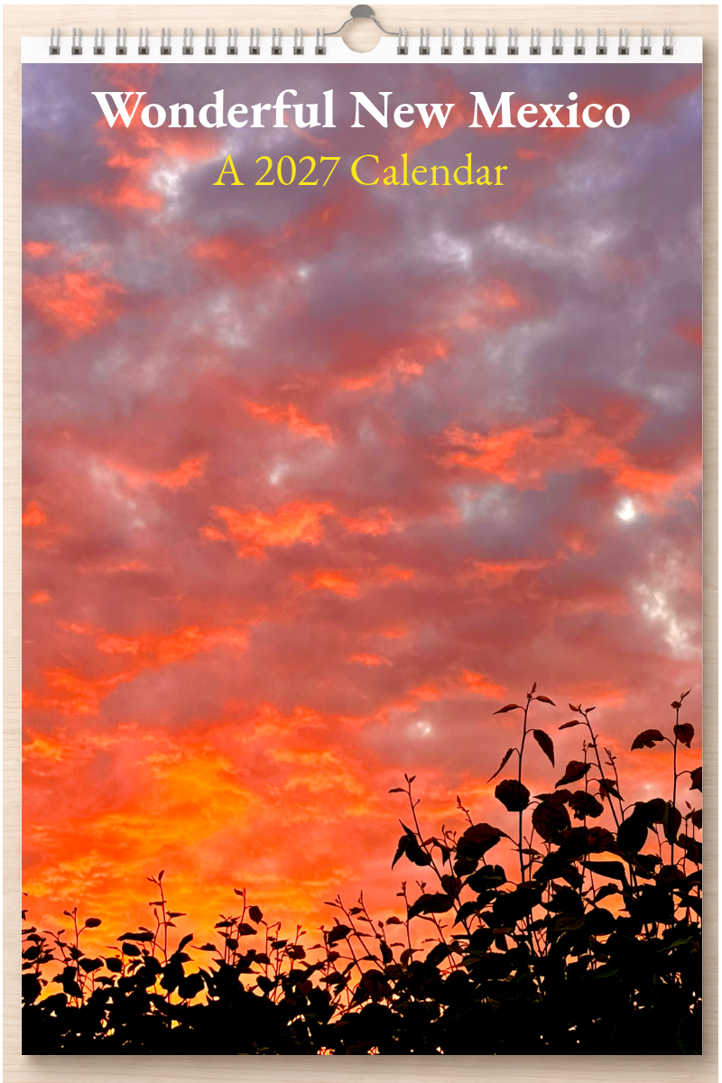 Wonderful New Mexico: A 2027 Calendar