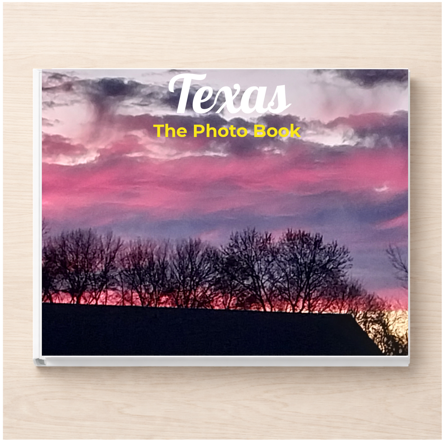Texas: The Photo Book