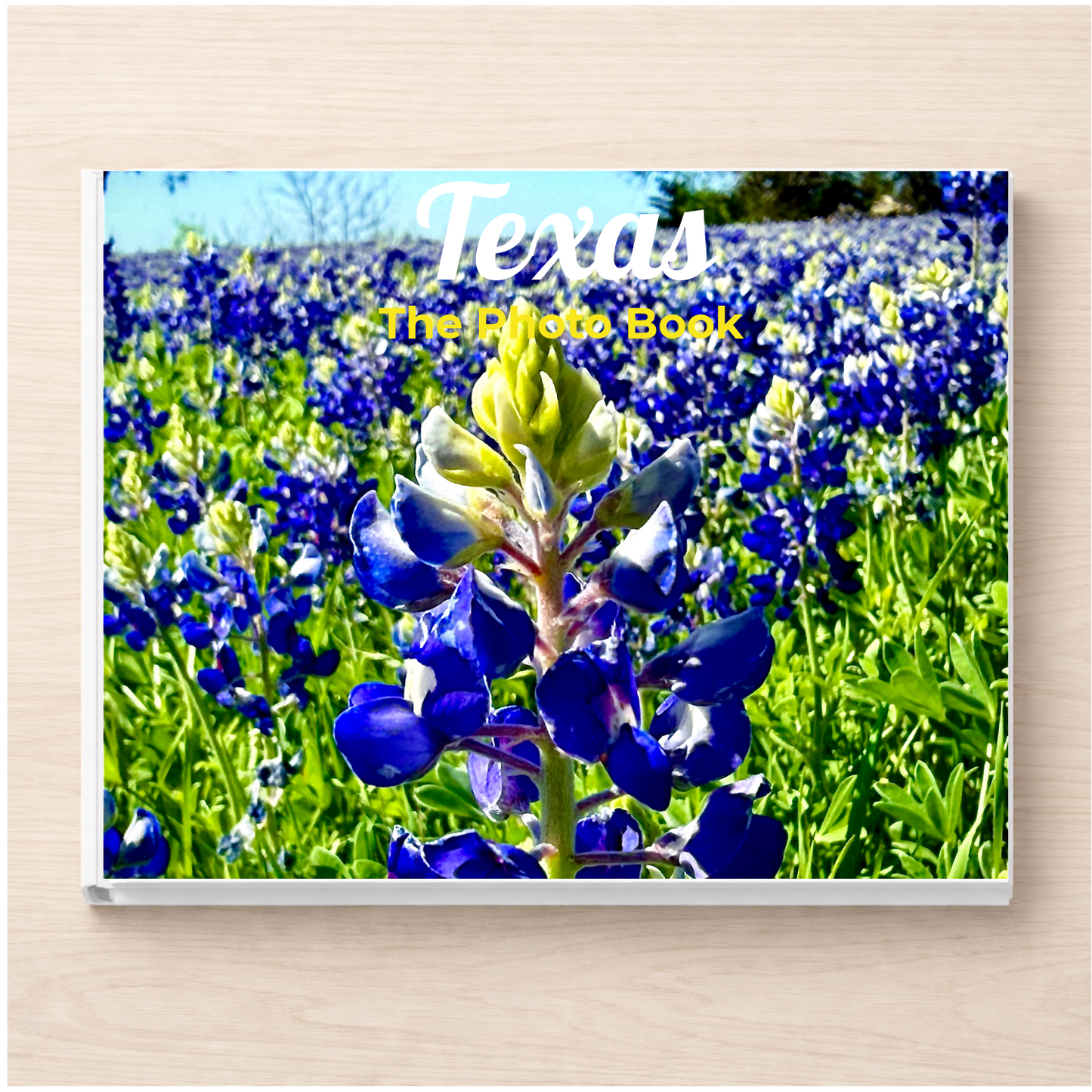 Texas: The Photo Book