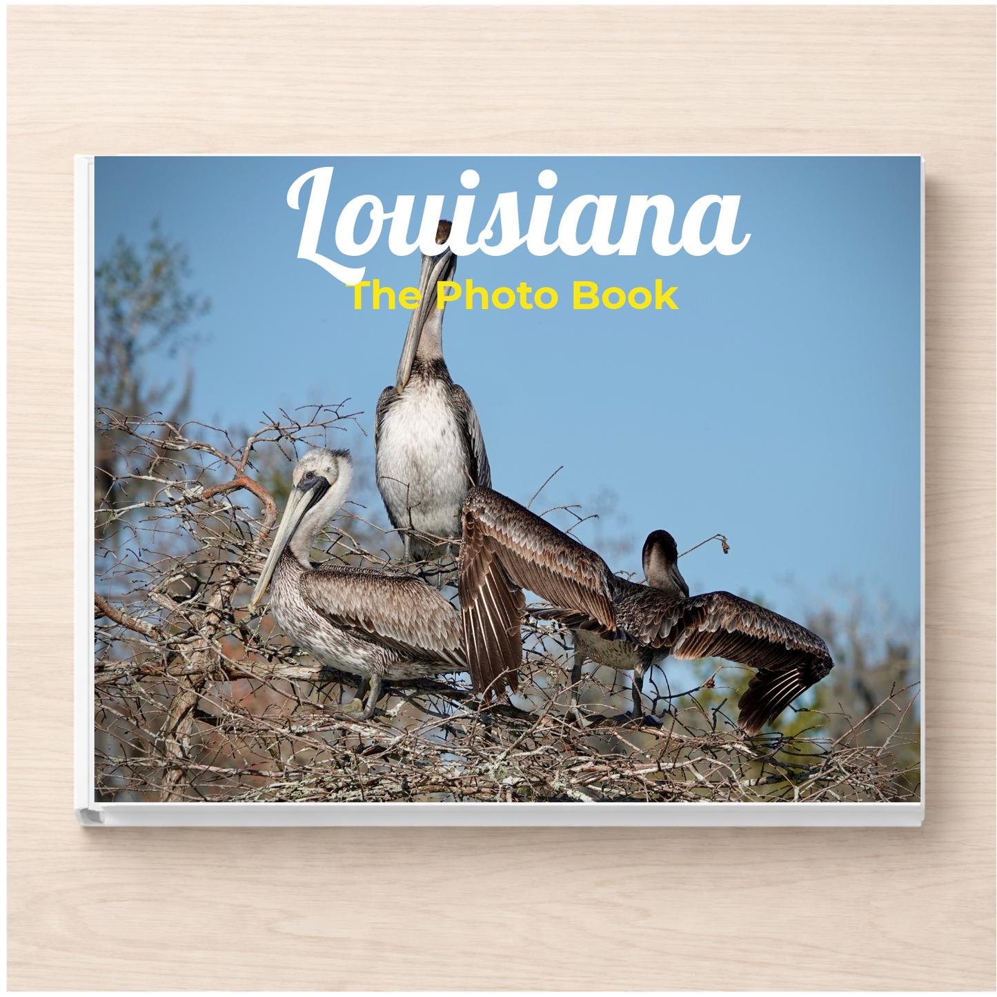 Louisiana: The Photo Book