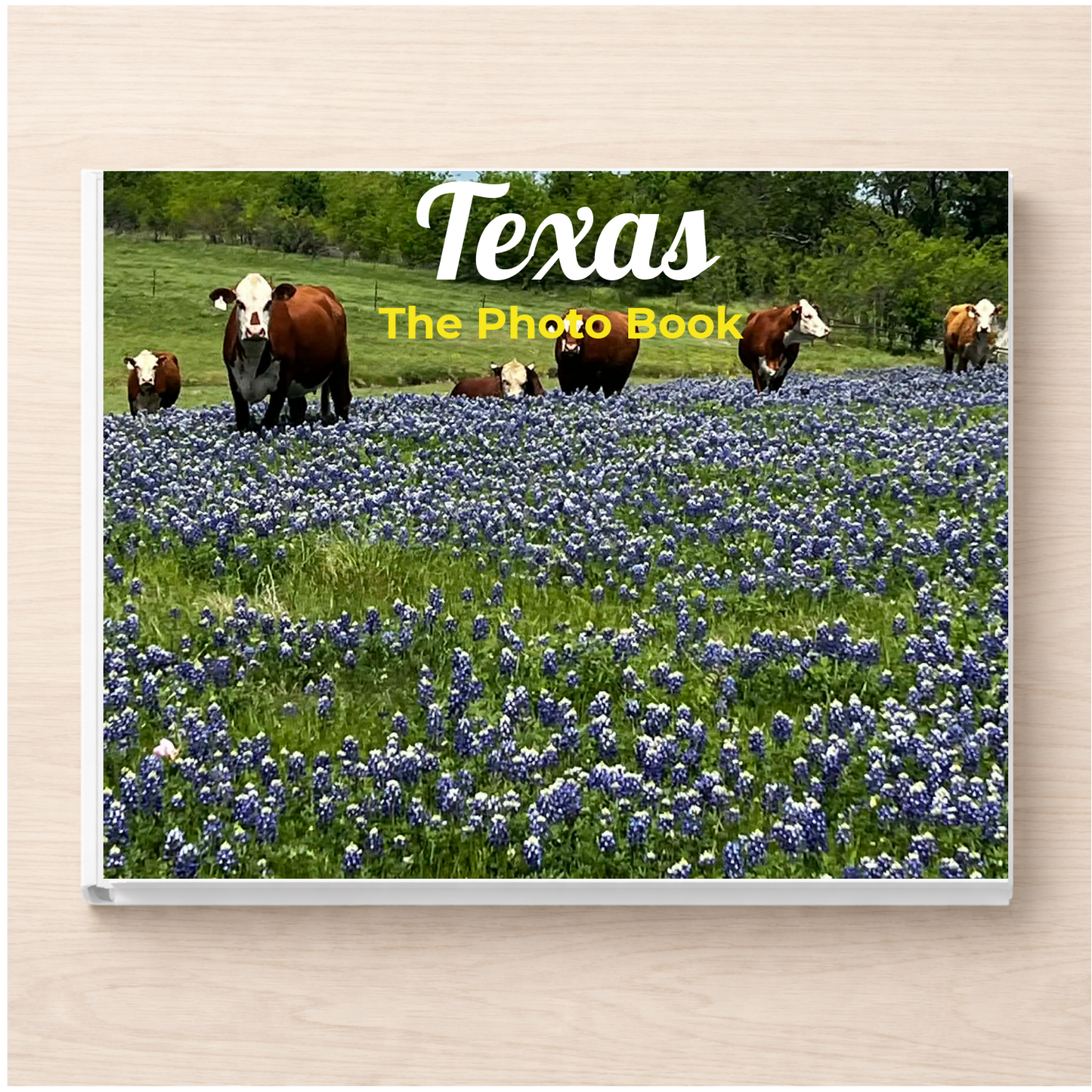 Texas: The Photo Book