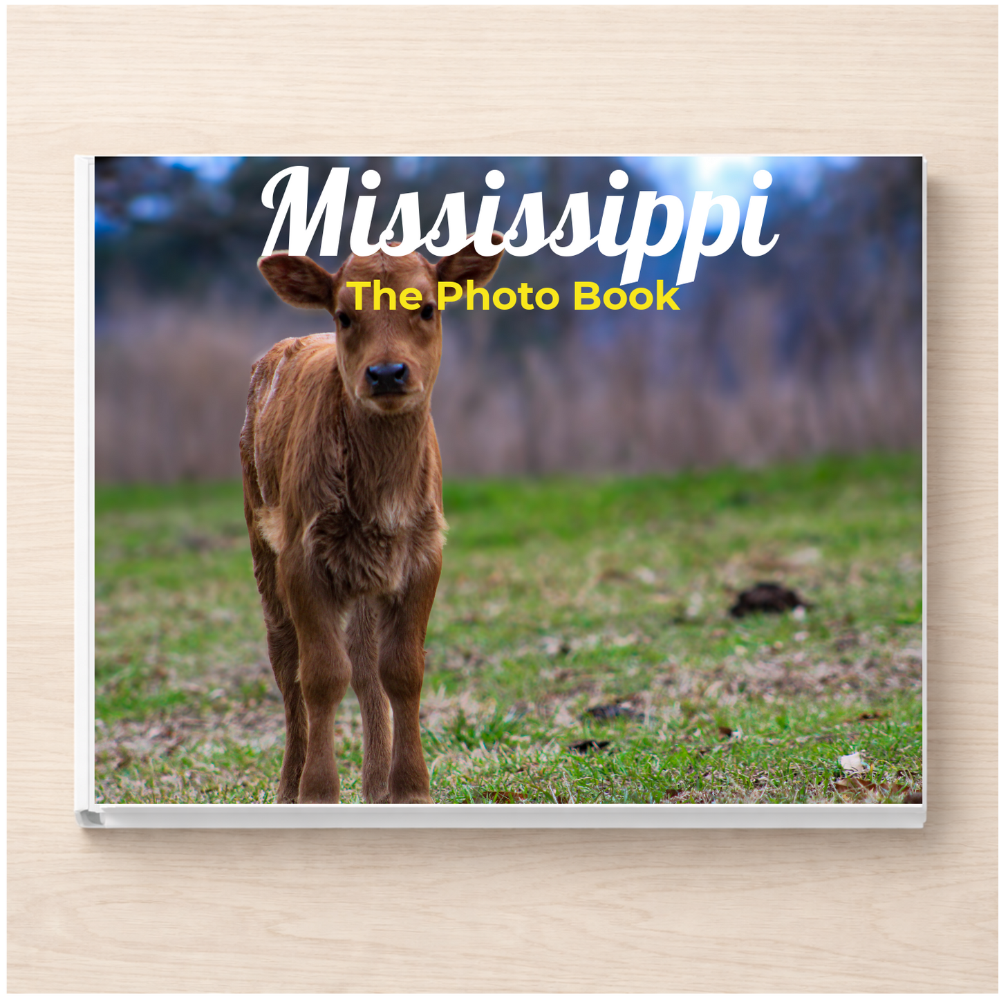Mississippi: The Photo Book