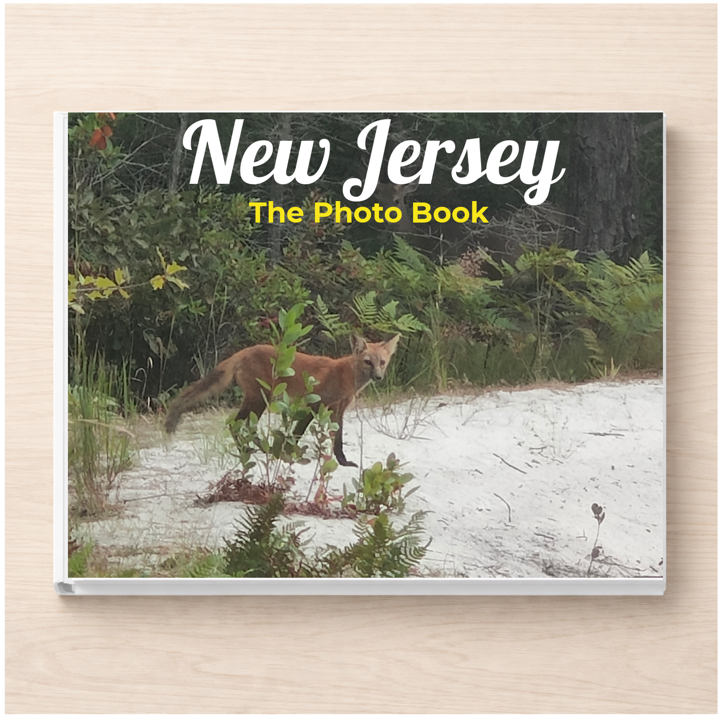 New Jersey: The Photo Book