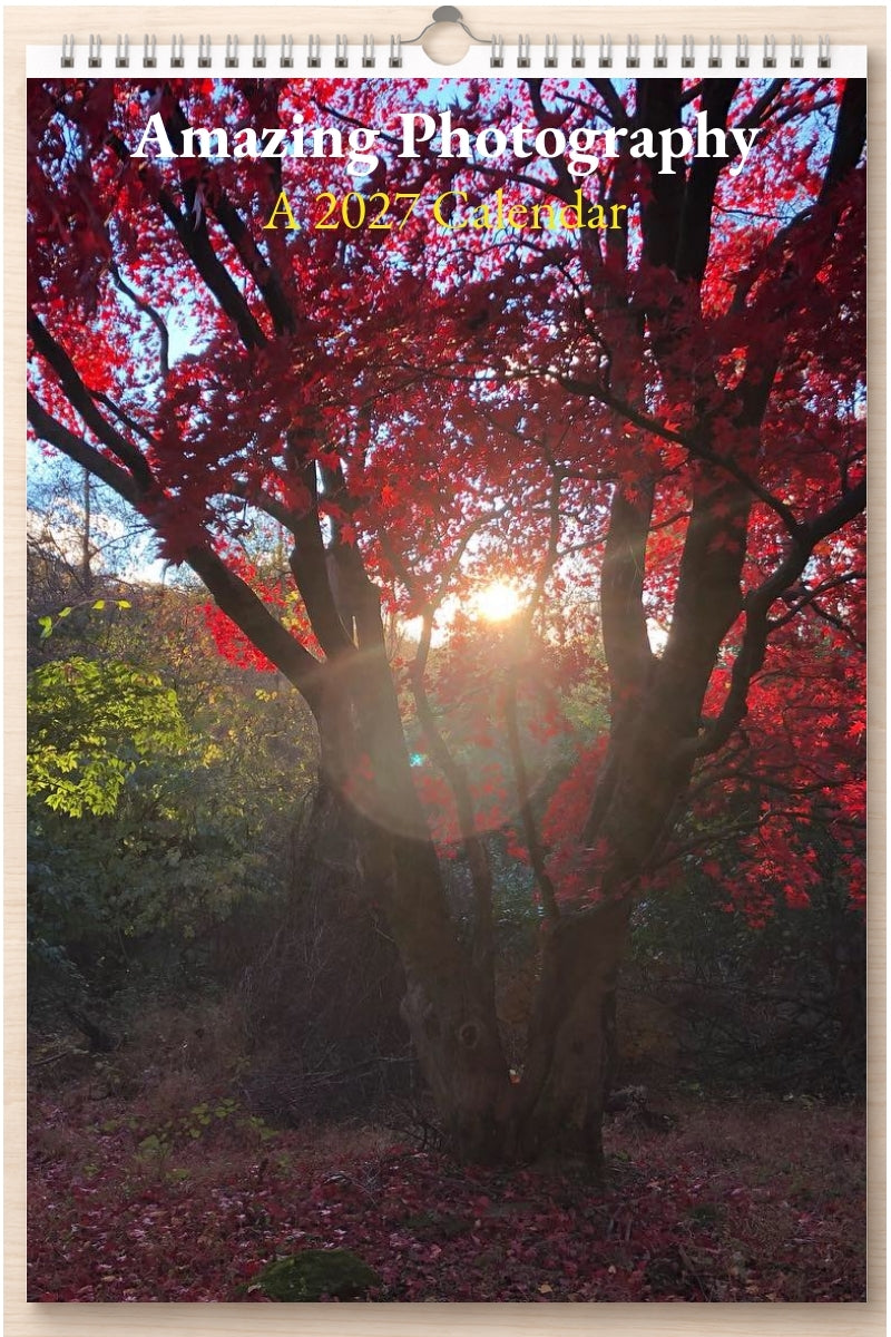 Amazing Photography: A 2027 Calendar