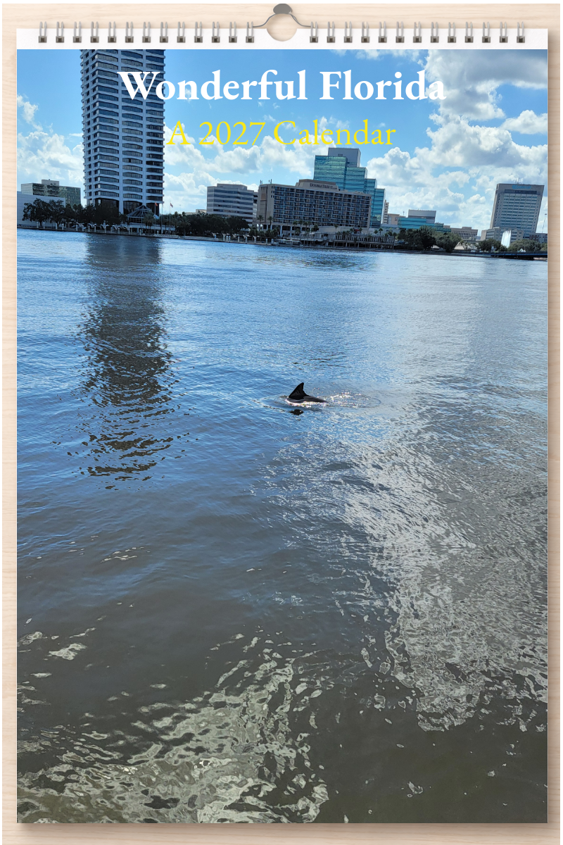 Wonderful Florida: A 2027 Calendar