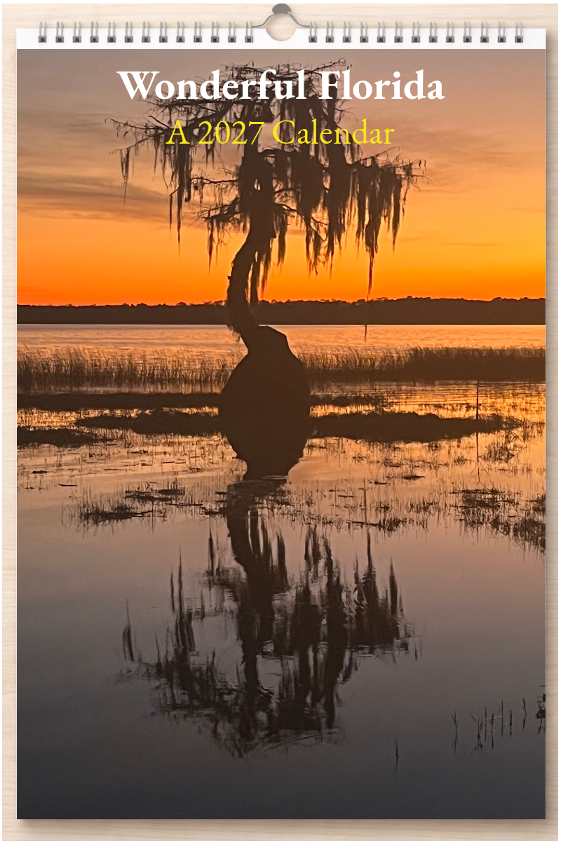 Wonderful Florida: A 2027 Calendar